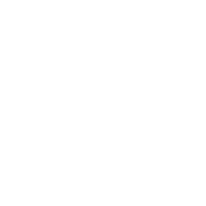 Premier Frameless Shower Doors